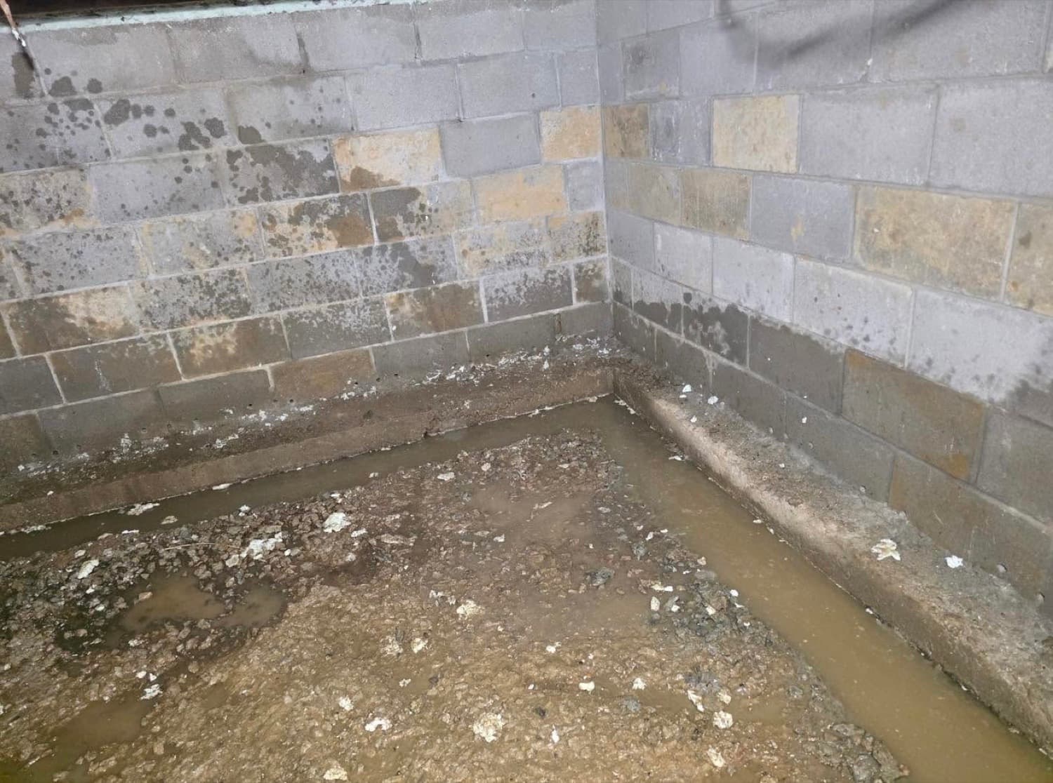 Crawl space before encapsulation in Western PA: mold-stained cinder-block walls and a wet, muddy dirt floor with standing water along the footer